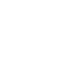 Big Sky Wealth Advisors Logo